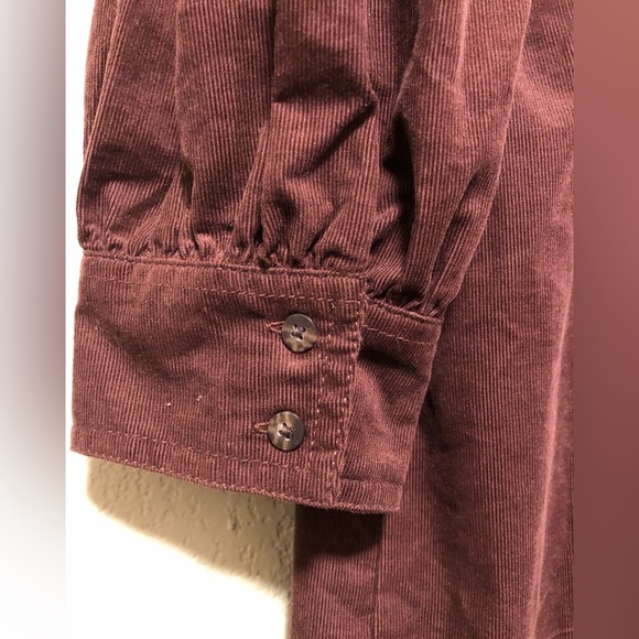 Madewell NWT Plus Corduroy Seamed Long-Sleeve Mini Dress - Picture 4 of 6